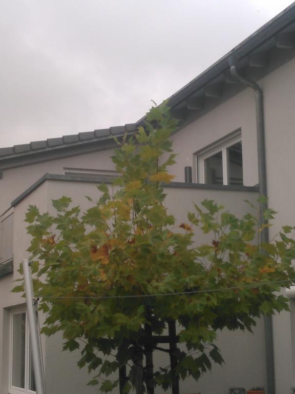 Ferienwohnung Zum Kletterturm Kaufbeuren Eksteriør billede